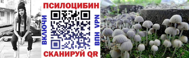 наркотики  Рошаль  гидра онион  Галлюциногенные грибы GOLDEN TEACHER 